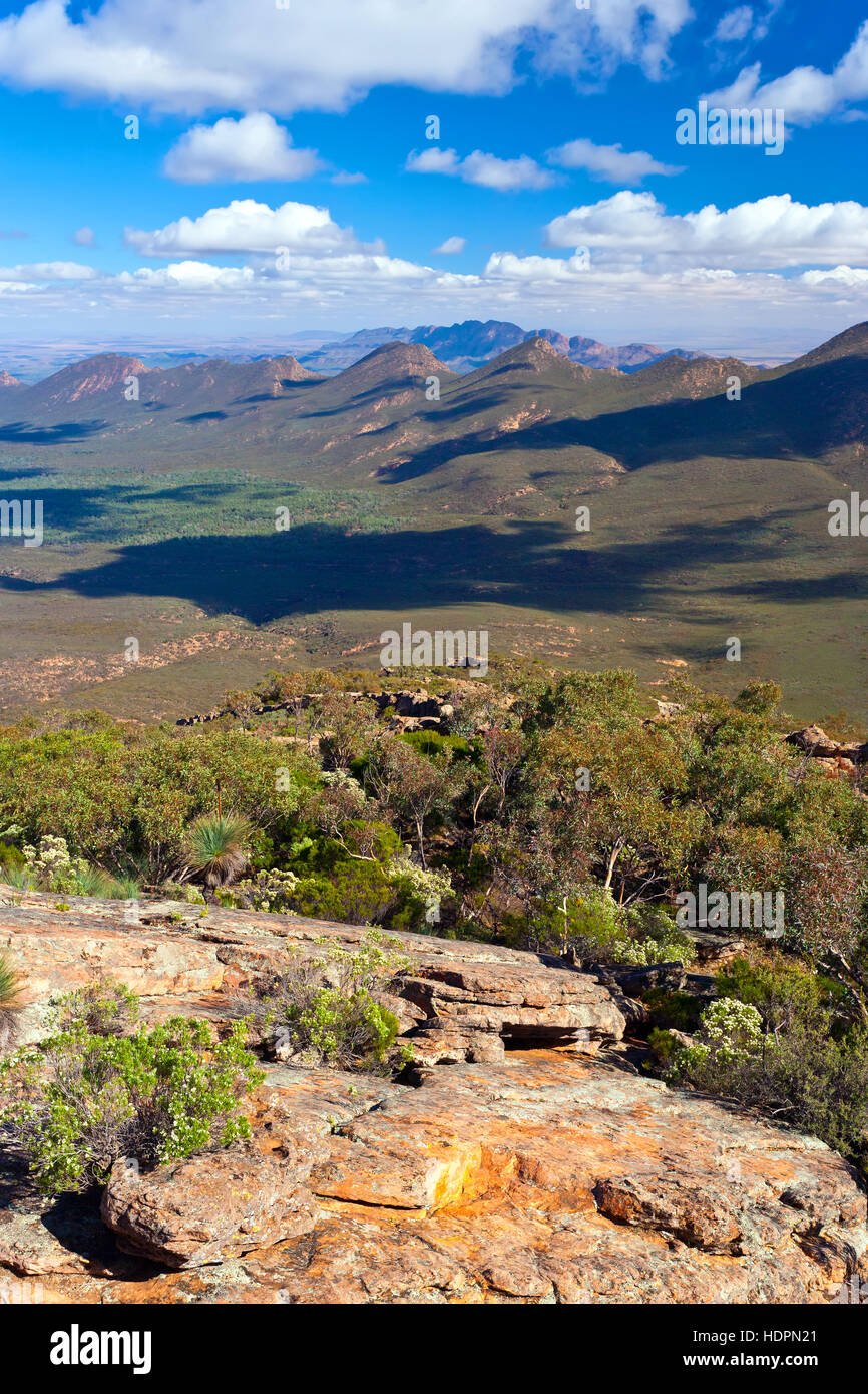 Flinders Ranges Wilpena Pound South Australia australischen Landschaften St Mary Gipfel Wanderung Wandern Wanderweg Eukalyptusbäumen outback-Landschaft Stockfoto