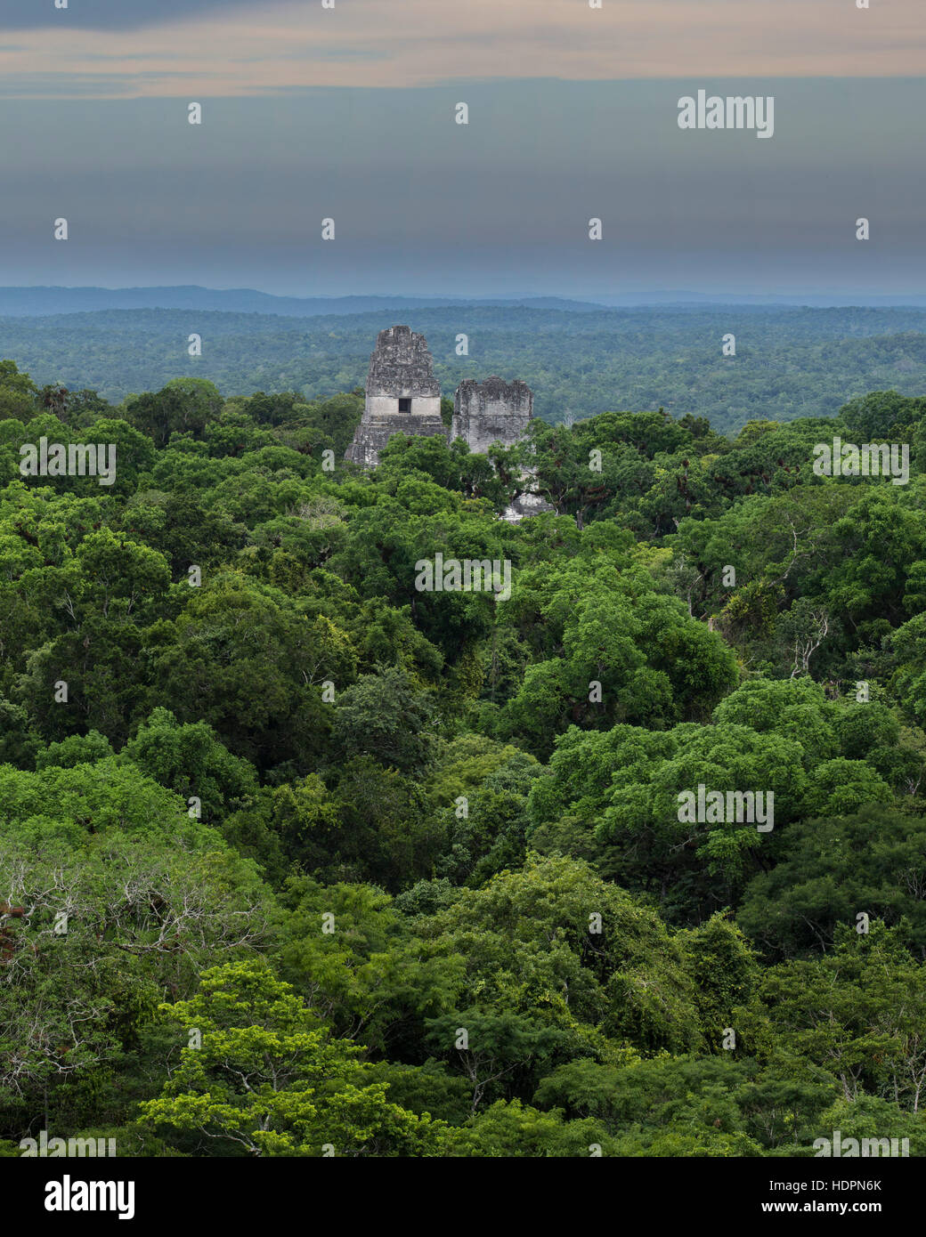 Tempel I oder Tempel des großen Jaguar ist eine Grabbeigaben Pyramide gewidmet Jasaw Chan K'awil, die in der Struktur begraben wurde Stockfoto