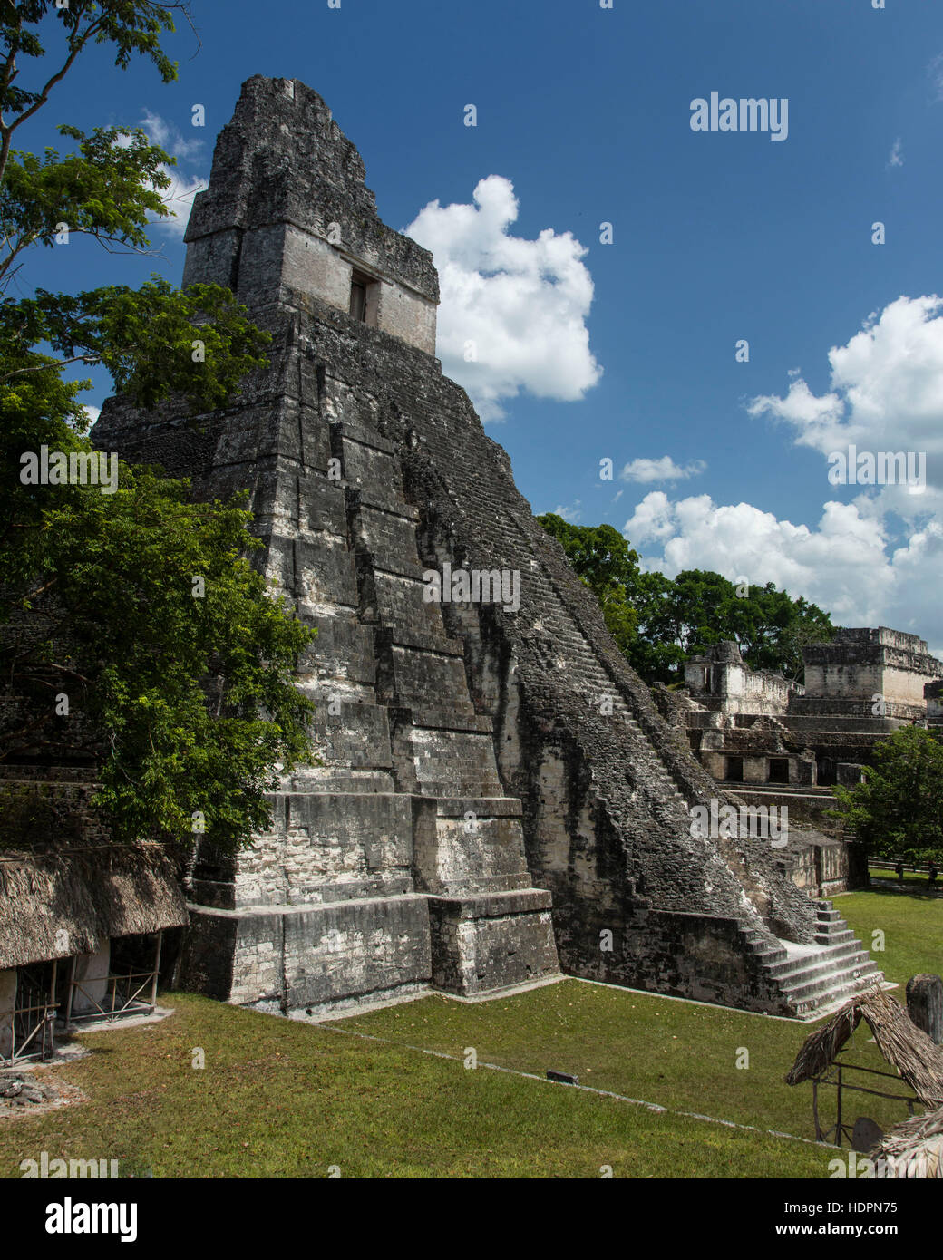 Tempel I oder Tempel des großen Jaguar ist eine Grabbeigaben Pyramide gewidmet Jasaw Chan K'awil, die in der Struktur in AD 734 begraben wurde.  Die pyram Stockfoto
