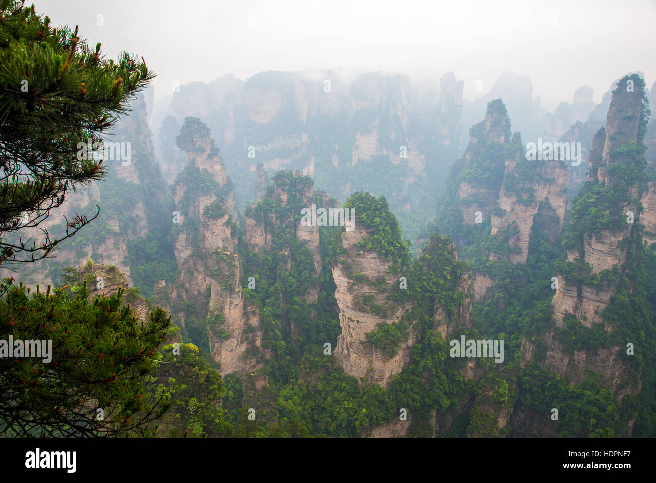 Nebligen steile Berggipfel - Nationalpark Zhangjiajie, China Stockfoto