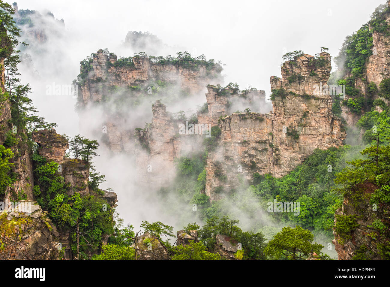 Nebligen steile Berggipfel - Nationalpark Zhangjiajie, China Stockfoto