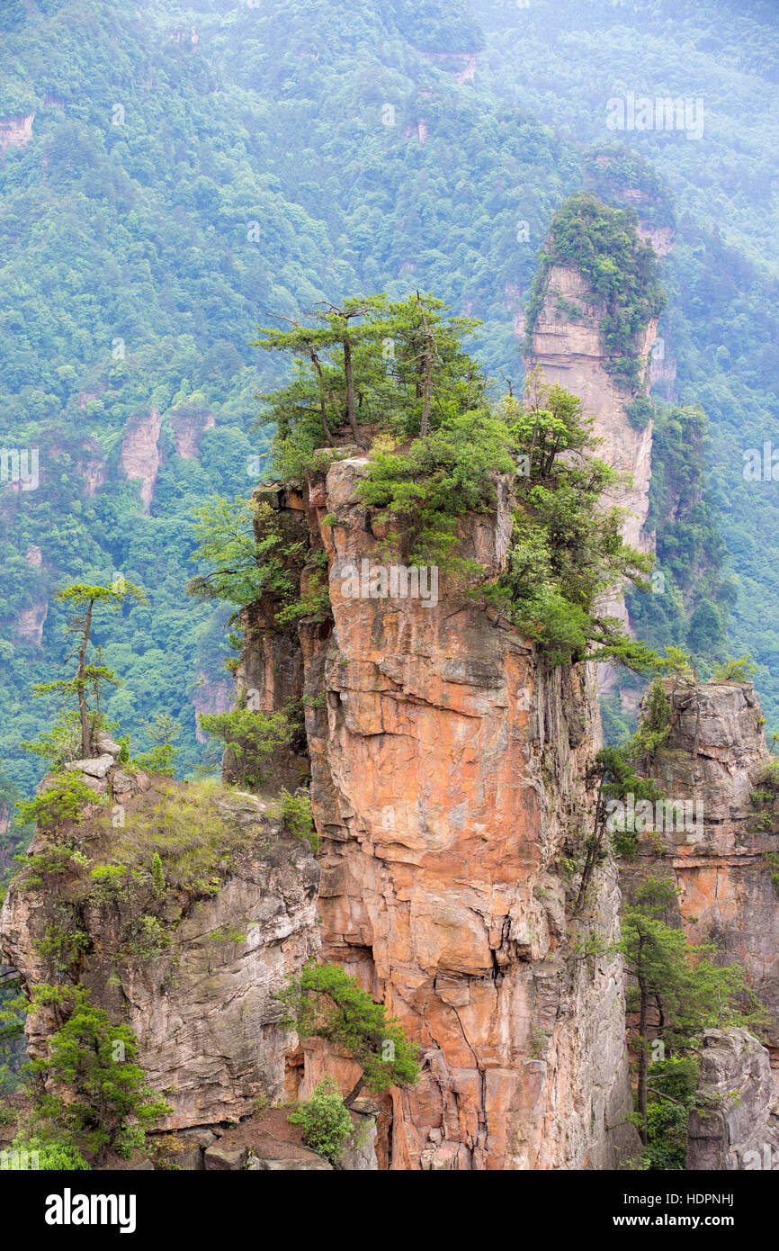 Berglandschaft des Nationalparks Zhangjiajie, China Stockfoto