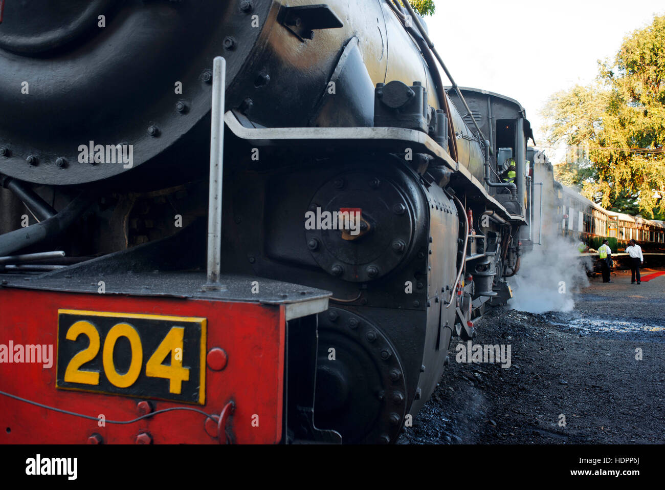 Royal Livingstone Express Luxuszug. Ihre romantische Phantasie zu erfüllen, auf einen späten Nachmittag Zugfahrt inmitten der ungezähmten Natur Sambia Bushv entkommen Stockfoto