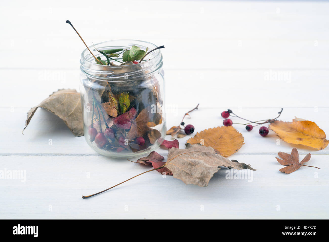 Glas Glas mit getrockneten Blättern und roten Beeren auf weißer Holztisch Stockfoto