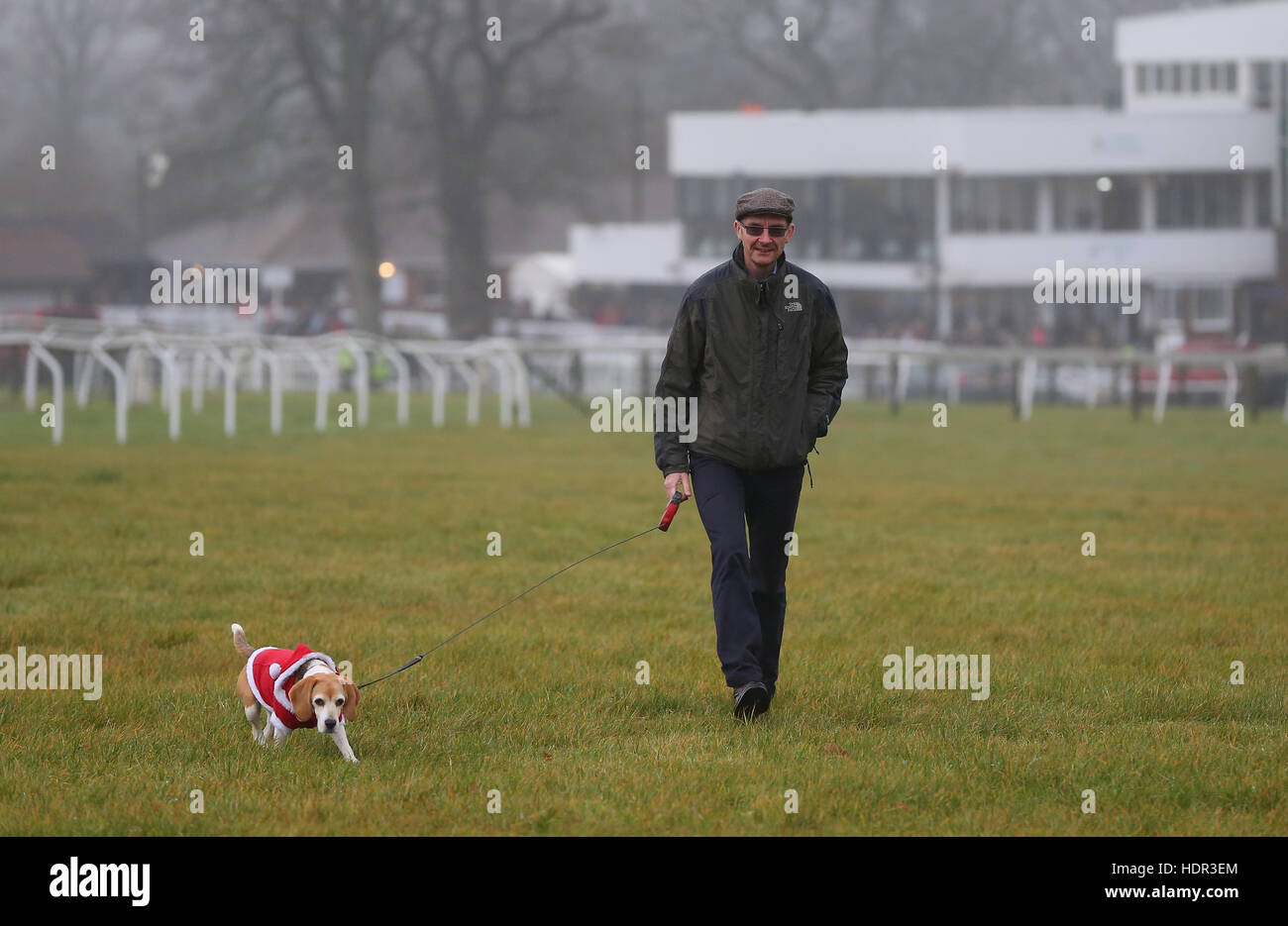 Ein Mann mittleren Alters, Spaziergang mit seinem Hund Plumpton Racecourse Stockfoto