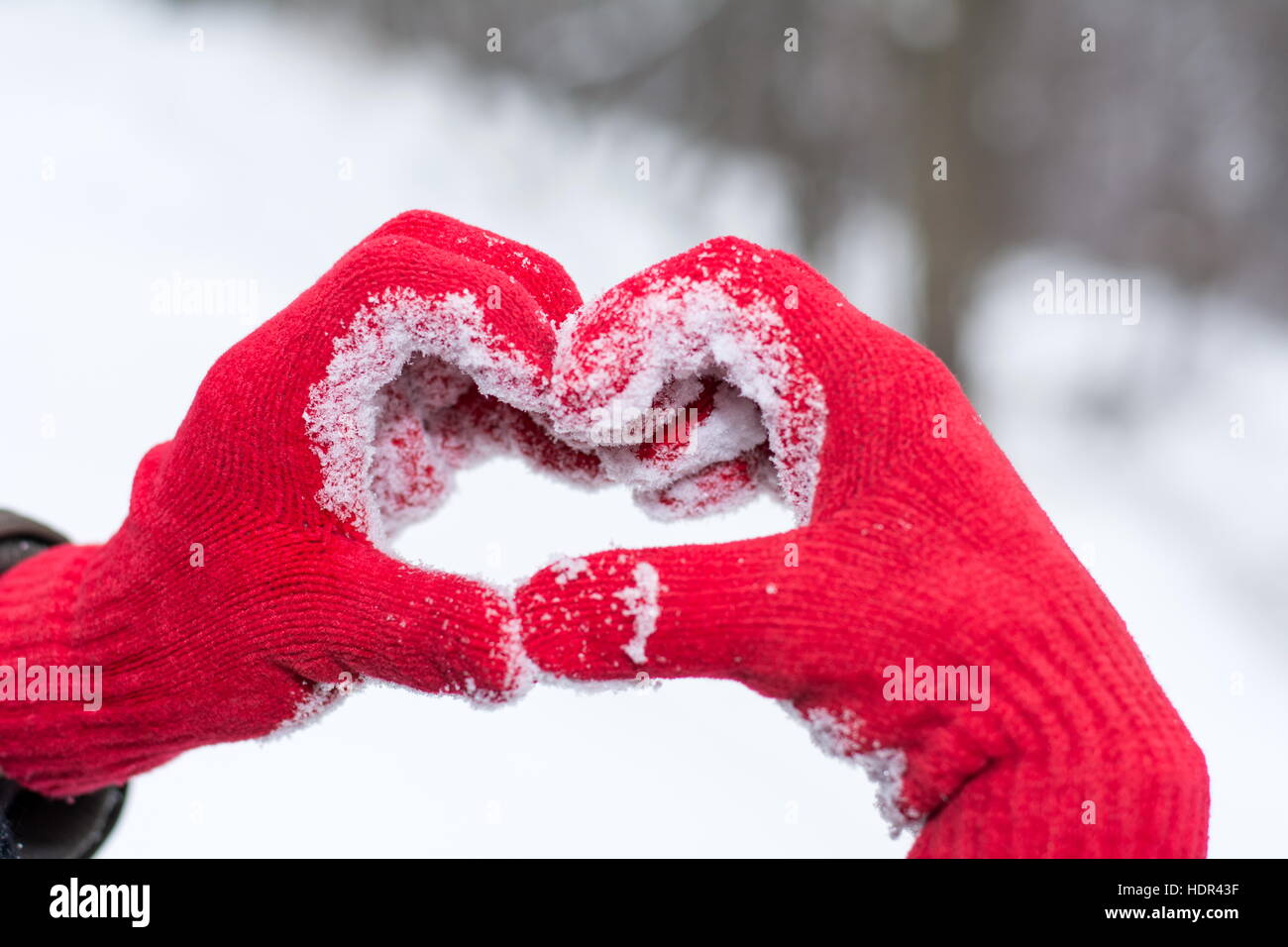 Hände, Herzform auf Wintertag in rote Handschuhe Stockfoto