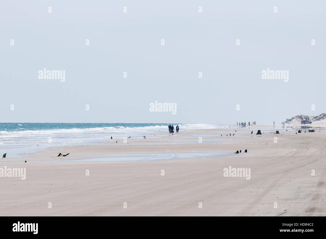 Carova Strand, Corolla, Outer Banks, North Carolina, USA. Stockfoto