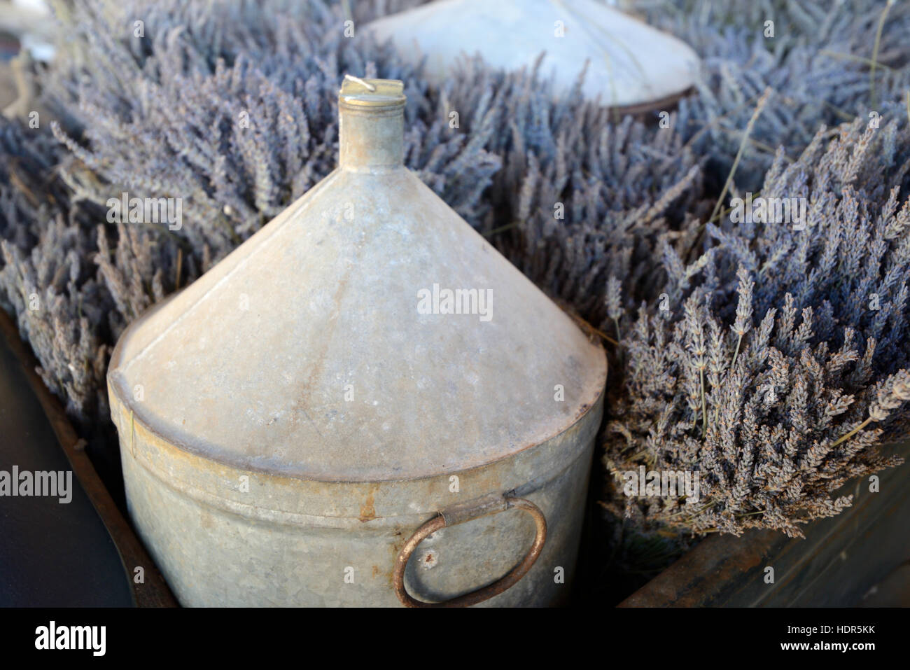 Lavendel Blumen und noch Container auf dem Display in Lavendel-Destillerie in der Nähe von Saignon Luberon Provence Stockfoto