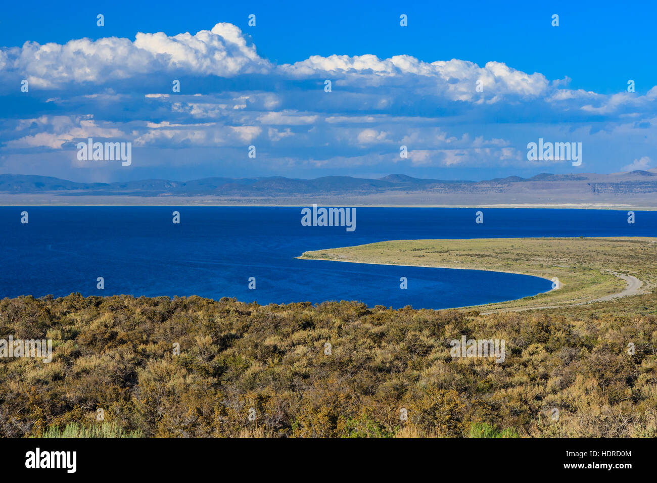 Mono Lake ist eine große, flache salzhaltige Soda See in Mono County, Kalifornien, als terminal See in eine abflusslose Becken mindestens 760.000 Jahren entstanden. Stockfoto