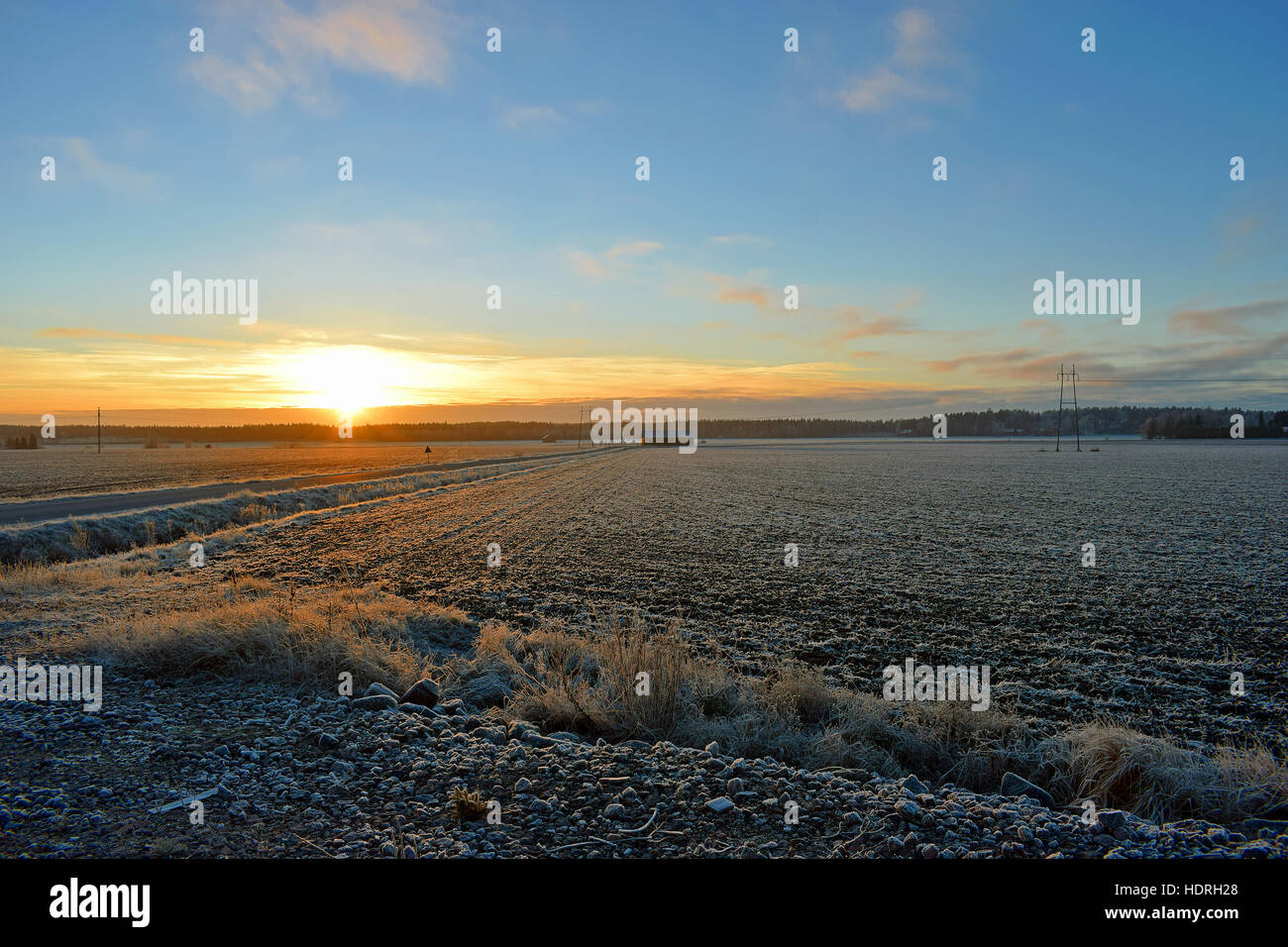 Sonnenuntergang am Dezember im finnischen Landschaft Stockfoto