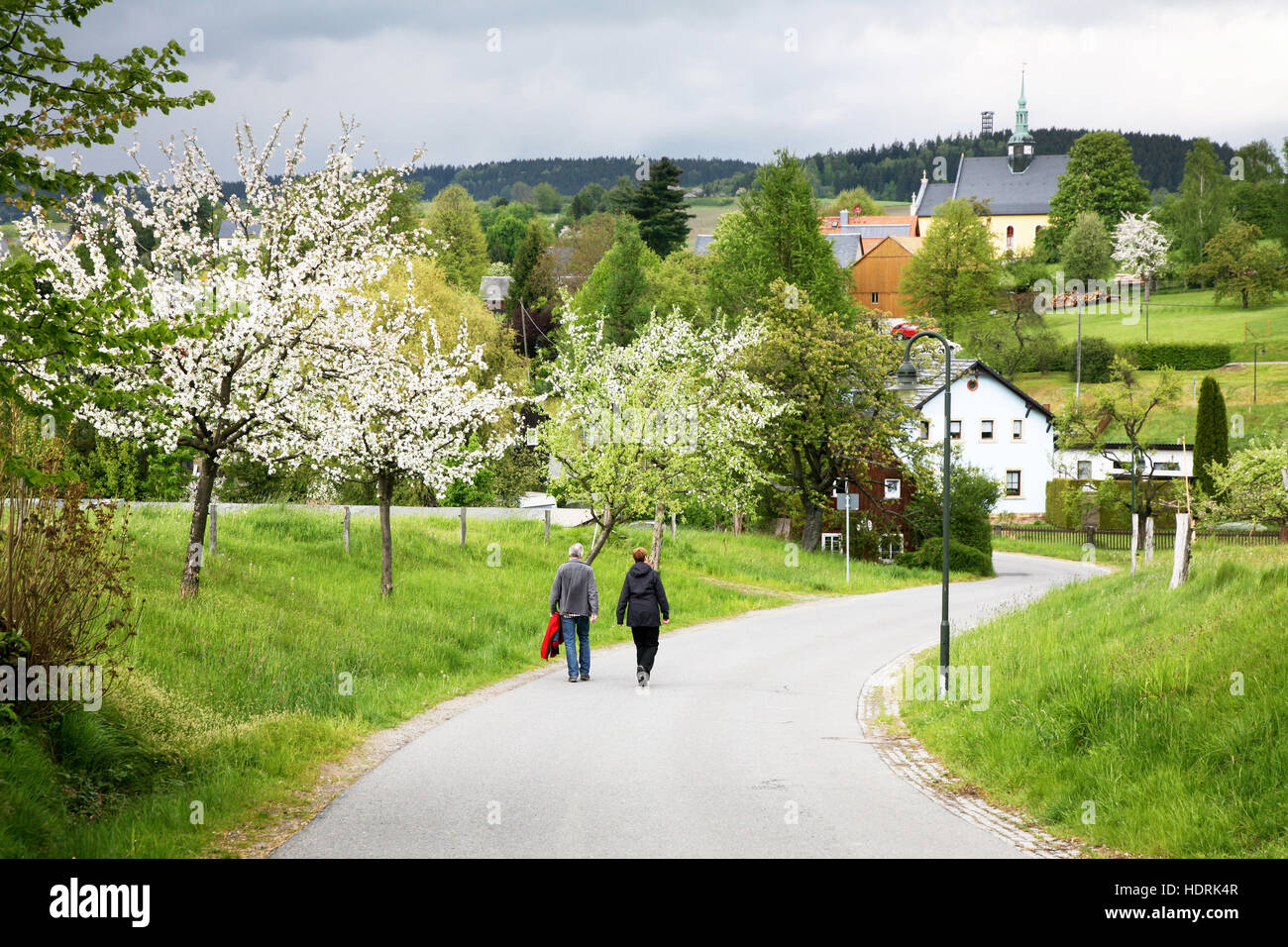 Ein Spaziergang in Hinterhermsdorf Stockfoto