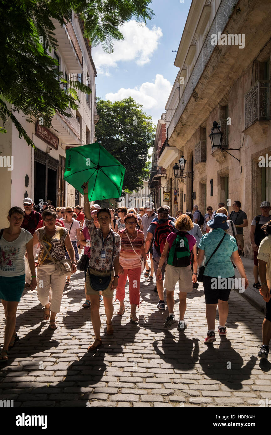 Tour-Guide hält ein grünes Dach empor als Signal für ihre Gruppe zu folgen, Mercederes, Havanna Vieja, La Havanna, Kuba. Stockfoto