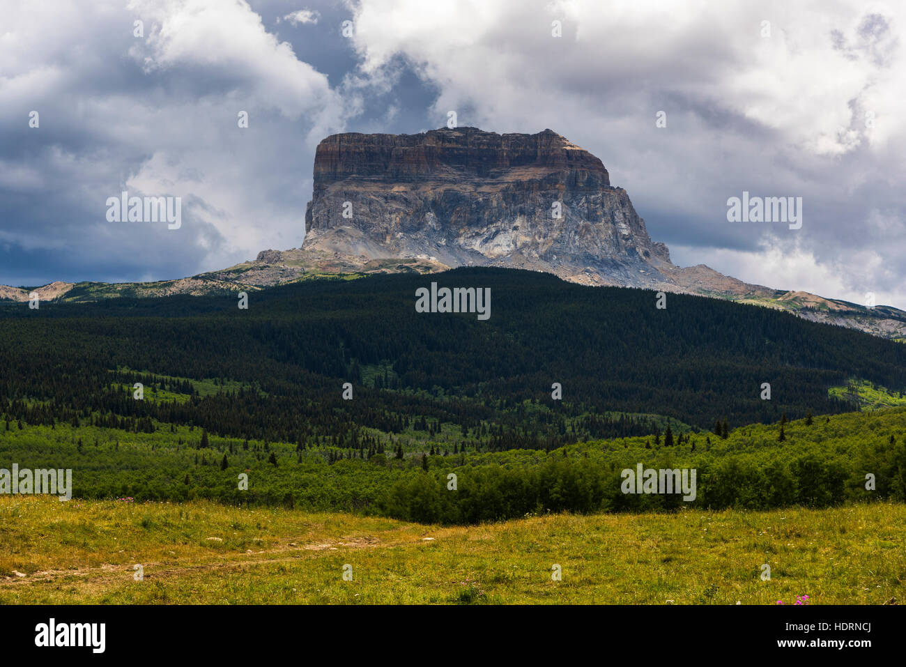 Schroffe Felsformation unter bewölktem Himmel mit üppiger Vegetation; Montana, Vereinigte Staaten von Amerika Stockfoto