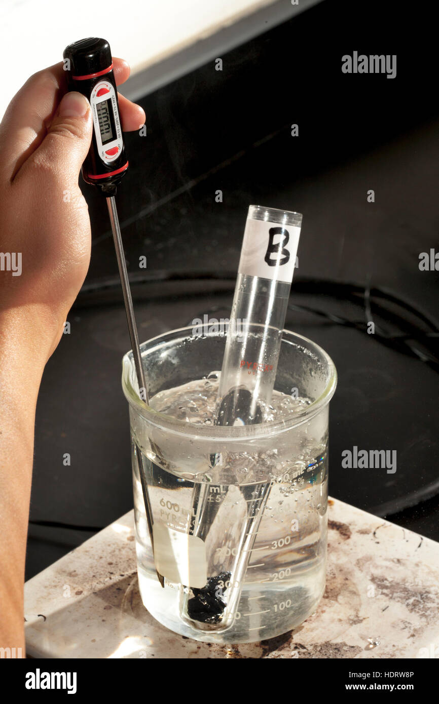 Ein Becher mit Wasser und einem nummerierten Reagenzglas mit einem  unbekannten Metall werden auf einer heißen Platte in einem San Clemente,  CA, Gymnasium Chemie Kalorimetrie Laborversuch erhitzt, wie ein digitales  Thermometer verwendet