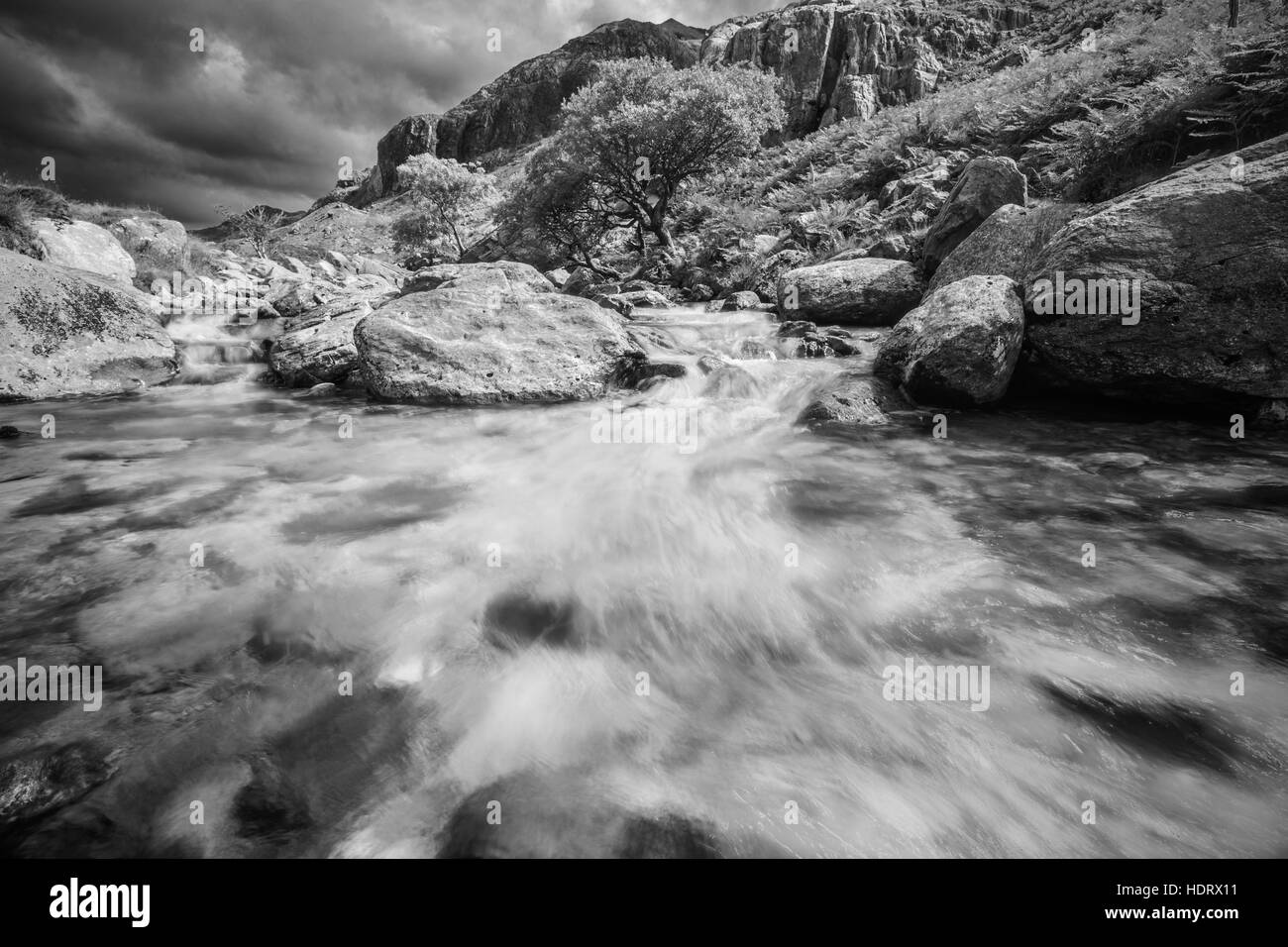 Klares Süßwasser der Mountain Creek im Norden von Wales Stockfoto