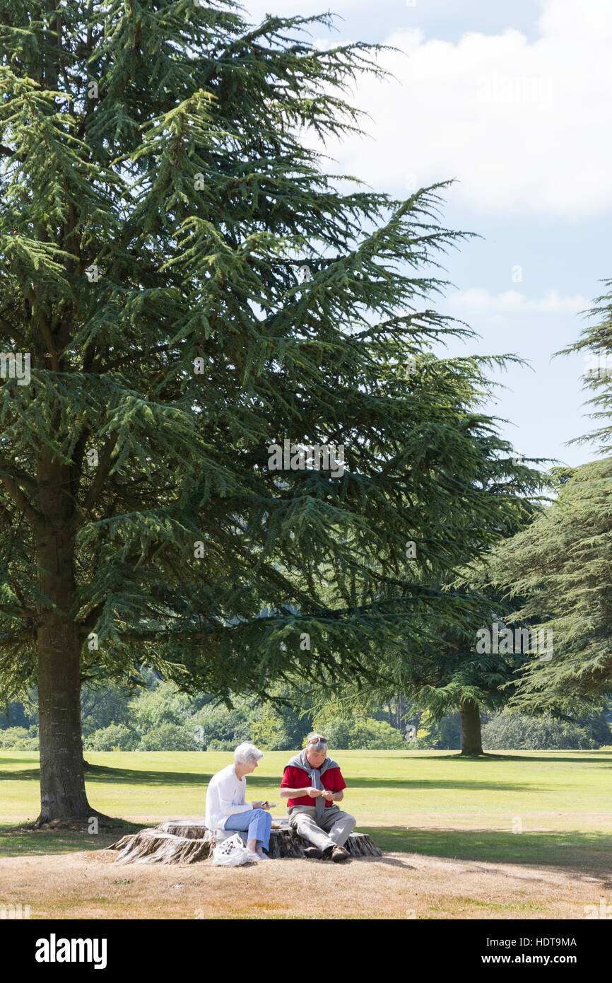 Paar beim Picknick im Gelände des Highclere Castle, Highclere, Hampshire, England, Vereinigtes Königreich Stockfoto