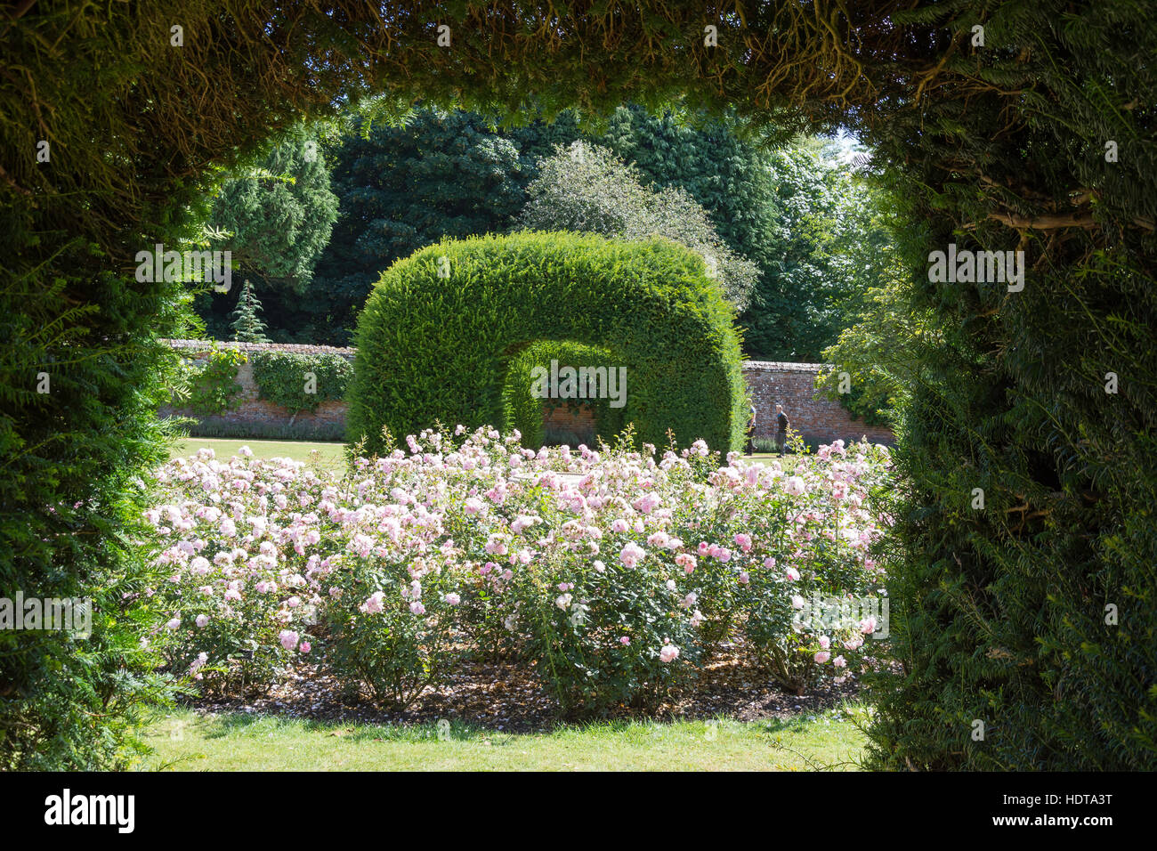 Die Ummauerte Mönche Garten, Highclere Castle (Downton Abtei TV Serie), Highclere, Hampshire, England, Vereinigtes Königreich Stockfoto