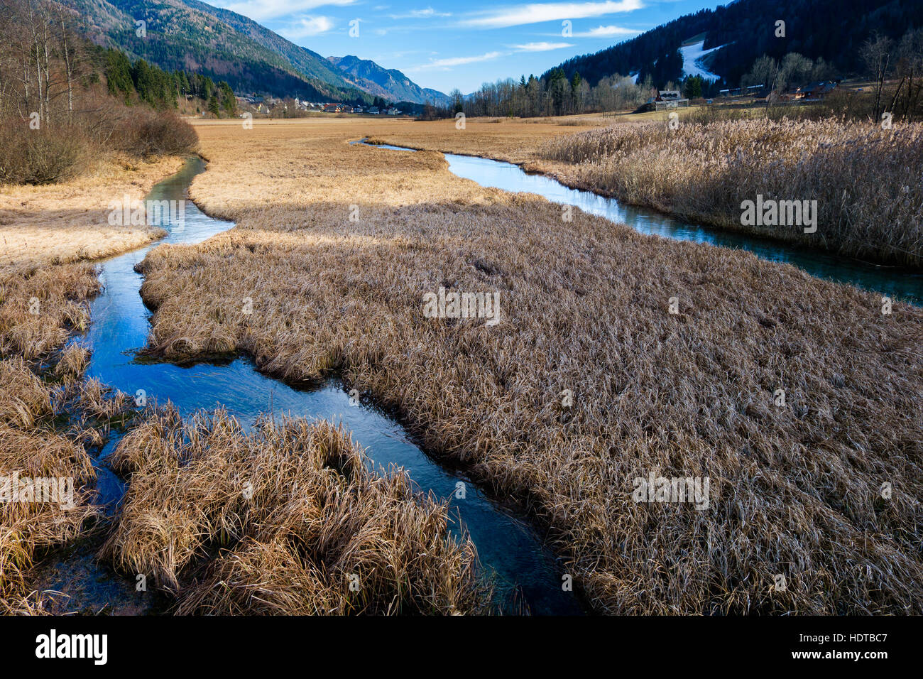 Feuchtgebiete mit Gras- und mehrere kleine Wasserkanäle mit sehr klarem Wasser. Gefangen in Zelenci nahe Kranjska Gora, Slowenien. Stockfoto