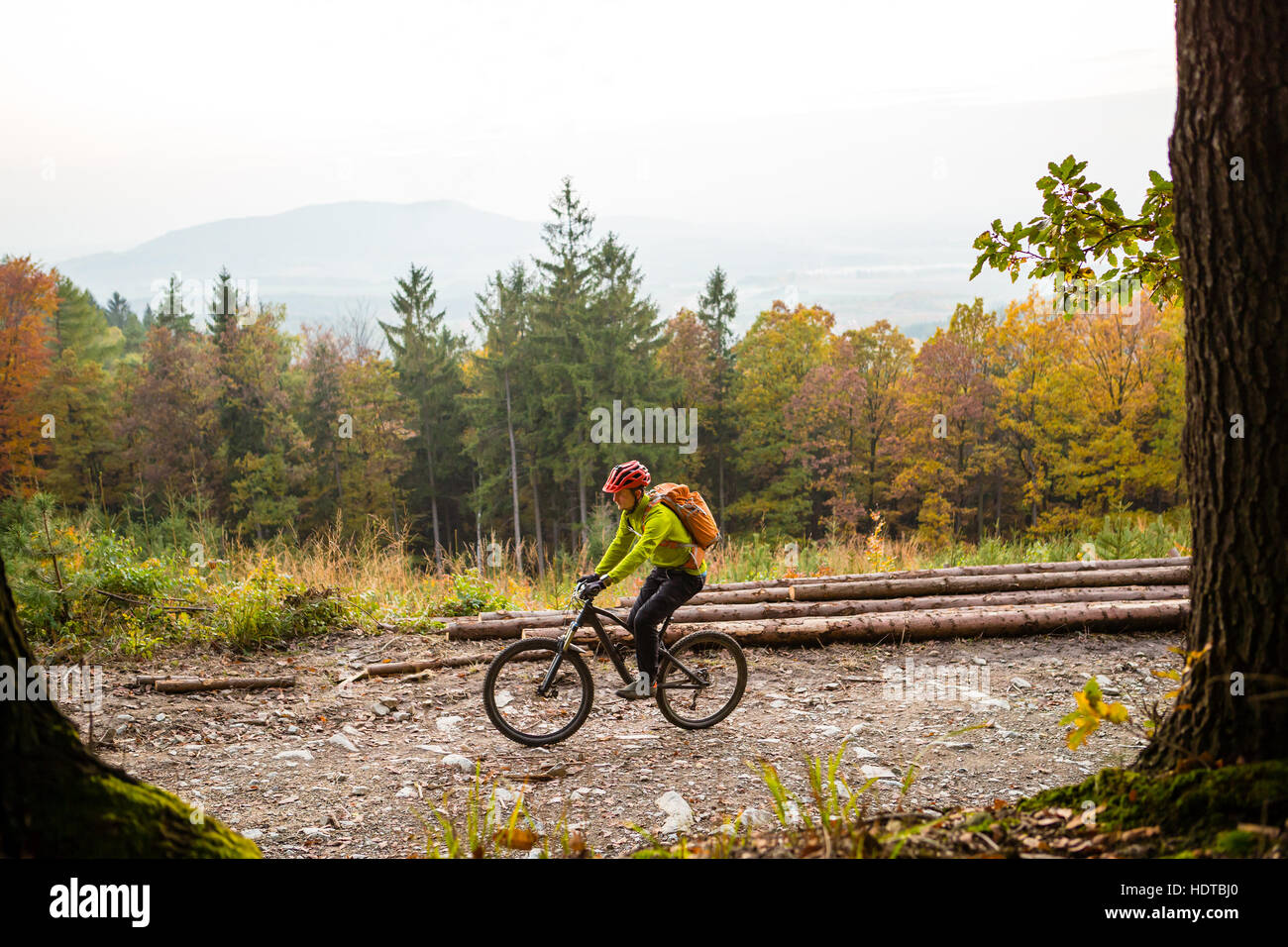 Mountainbiker, Reiten auf Bike im Herbst oder Winter inspirierende Landschaft Wald. Mann Radsport MTB auf schmutzigen Straße im Wald. Sport und aktive Erholung, Stockfoto