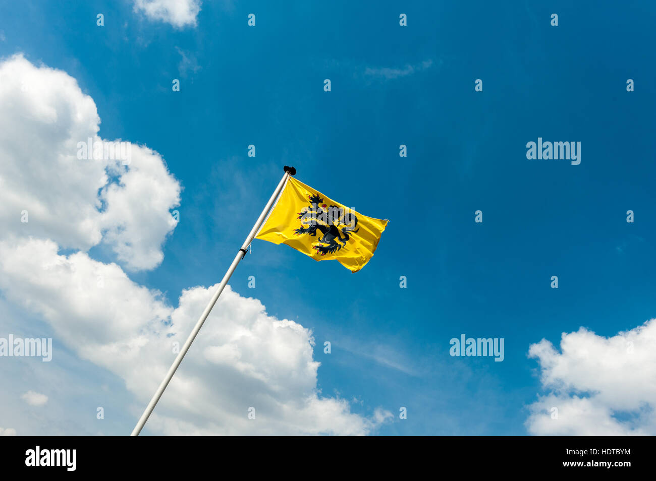 Flagge von Flandern - Vlaamse Leeuw Stockfoto