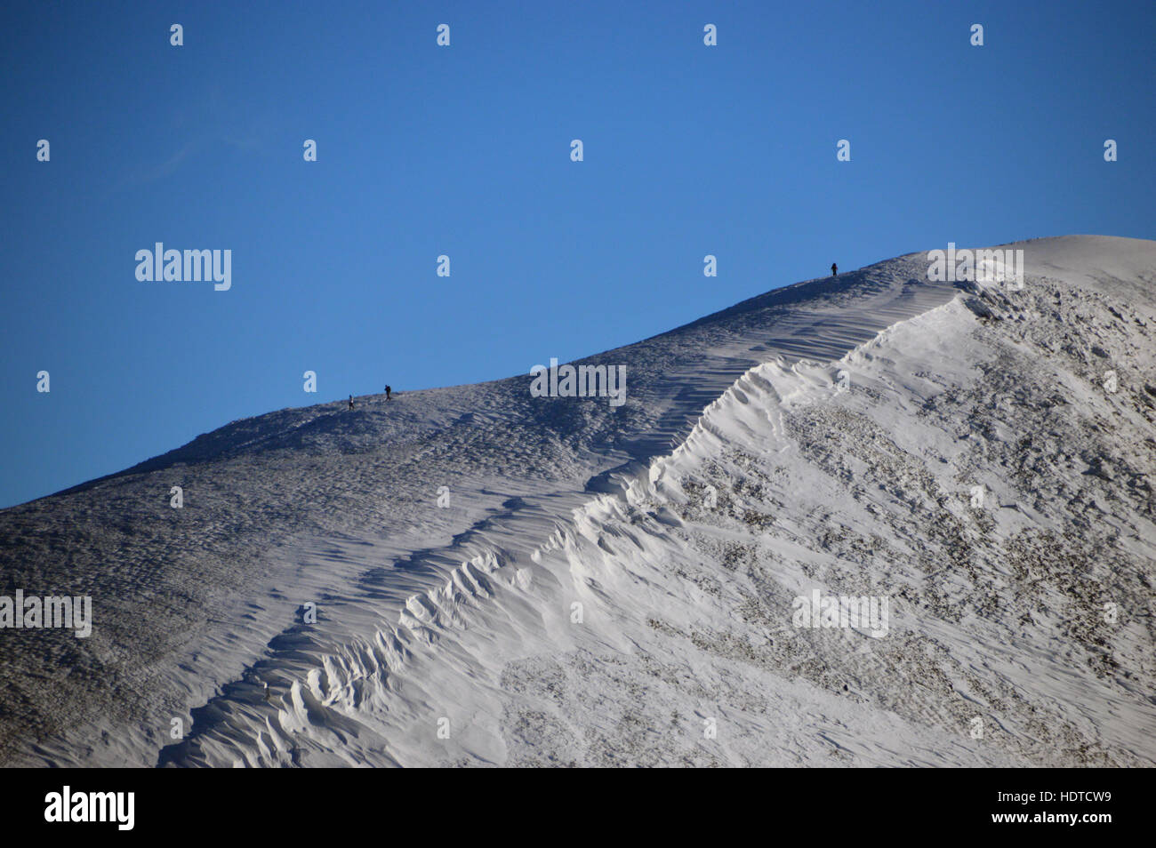 Wanderer auf Skiddaw Männlein vom Gipfel des Carl Seite im Winter, Nationalpark Lake District, Cumbria, UK. Stockfoto