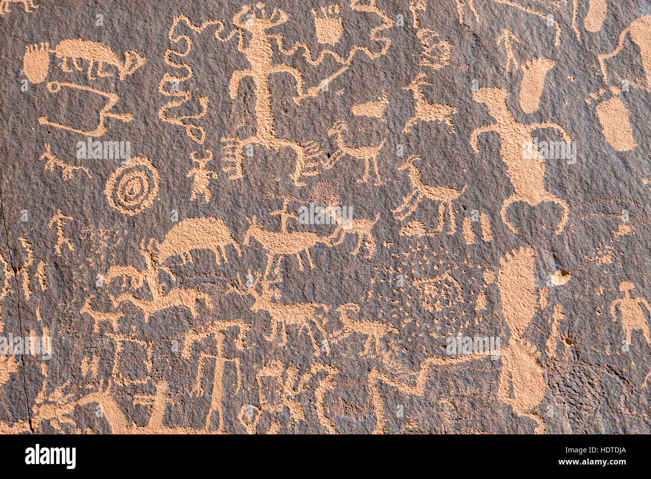 Indianische Petroglyphen, rock-Zeichnungen, Zeitung Rock Zeitung Rock State Historic Monument, Utah, USA Stockfoto