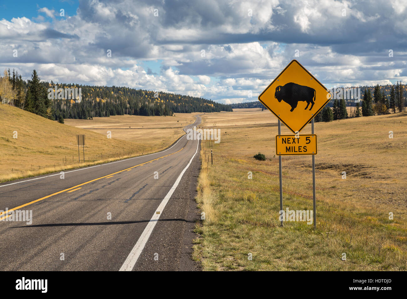Schild warnt vor der Kreuzung Bison, Warnschild, Weg zum Grand Canyon North Rim, Arizona, USA Stockfoto