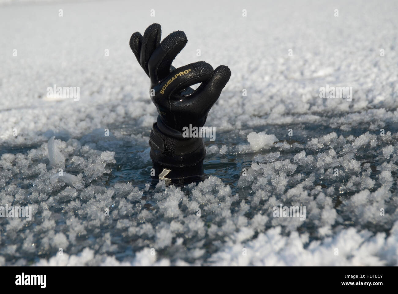 Taucher, ragen seine Hand durch eine kleine Öffnung in das gefrorene Wasser, Reichraming, OÖ, Österreich, Europa Stockfoto