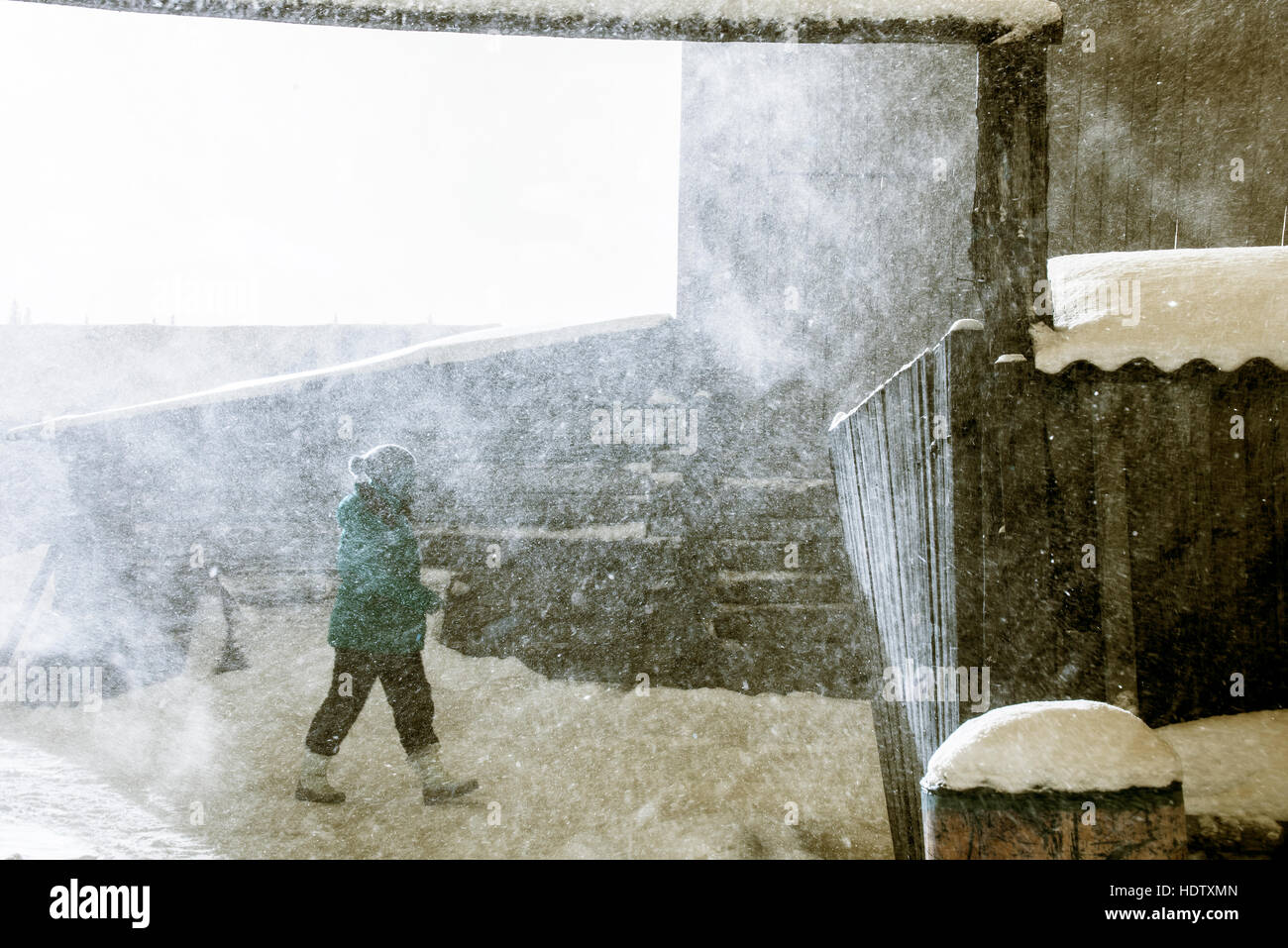schlechte Saison Wetter. junge schöne Frau outdoor - wandern entlang Holzhaus im Wintersturm Stockfoto