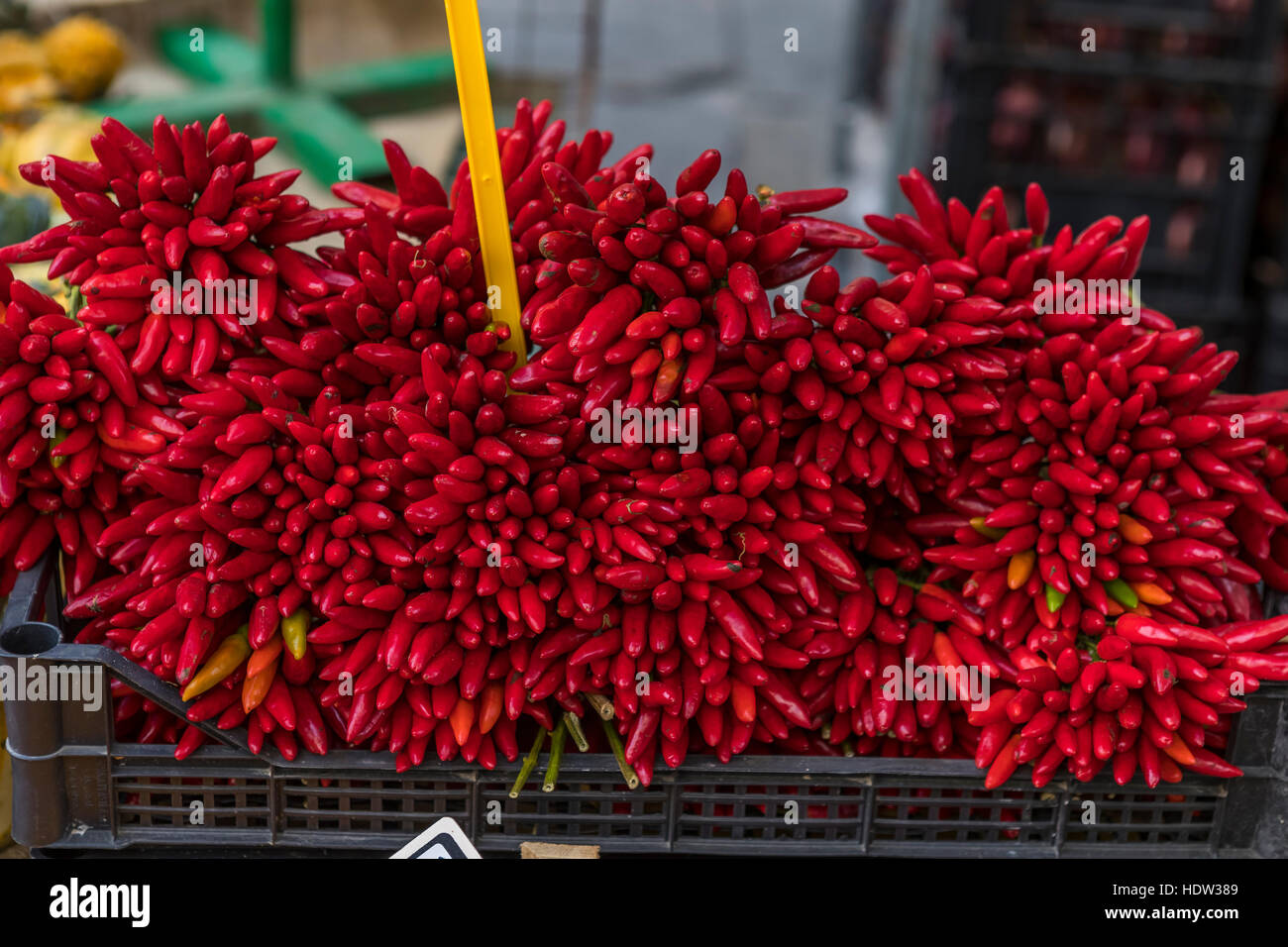 Markttag in Lucca und die Straßen von Porta Santa Maria und alle entlang der Via Borgo Giannotti werden mit produzieren und Eisenwaren Stände verpackt. Stockfoto