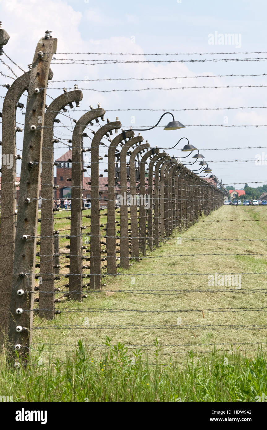 Die Widerhaken - verkabelten Zaun in Auschwitz 11 - Birkenau, Oswiecim, Polen Stockfoto