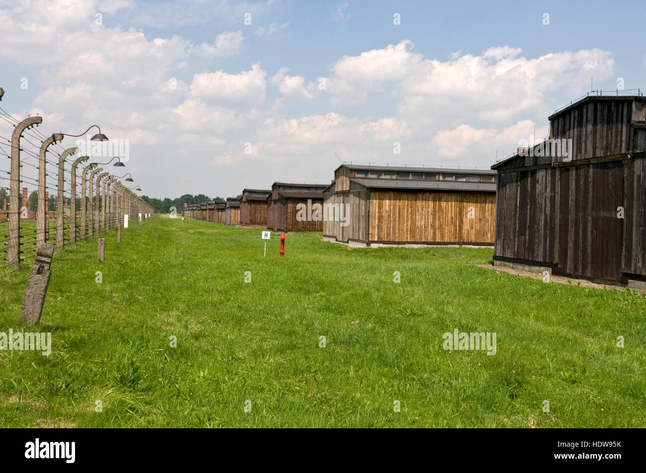 Die Reihen der Überlebenden Holzhütten, wo Tausende von Opfern des Holocaust in Auschwitz 11-Birkenau in Oswiecim, Polen inhaftiert waren, Stockfoto
