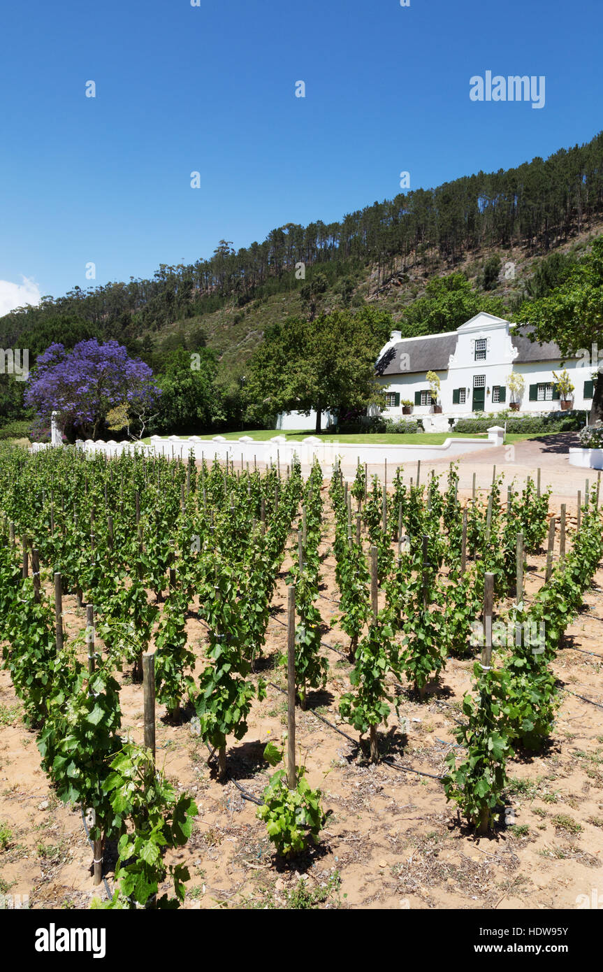 Wackelige Brücke Weingut, Franschhoek, den Winelands, Western Cape, Südafrika Stockfoto