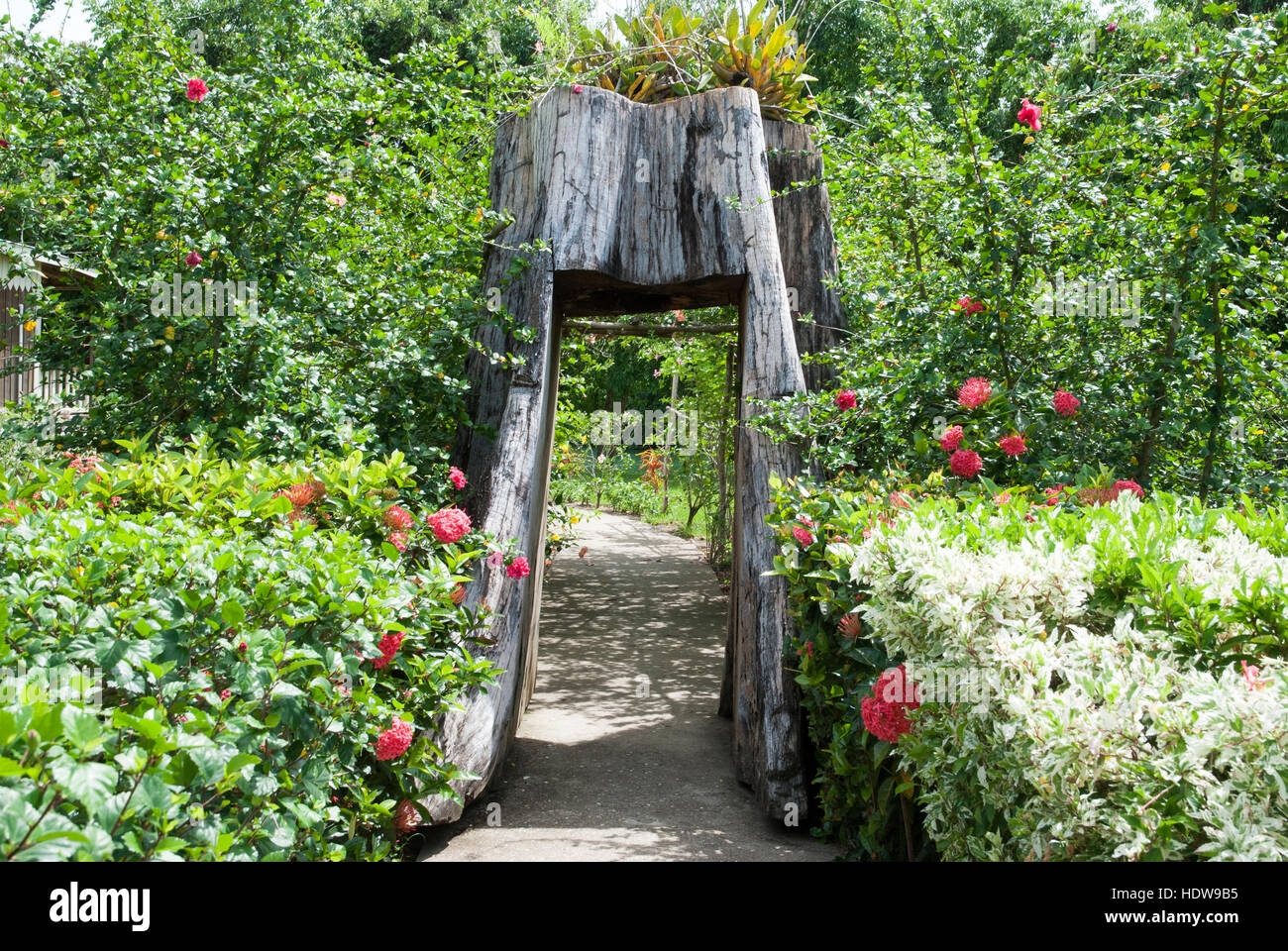 Ein holzsteg im garten Stockfotos und bilder Kaufen Alamy