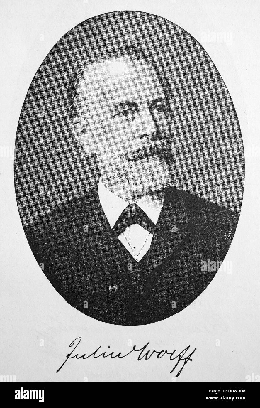 Julius Wolff, 1834-1910, deutscher Schriftsteller und Dichter, Holzschnitt aus dem Jahr 1880 Stockfoto