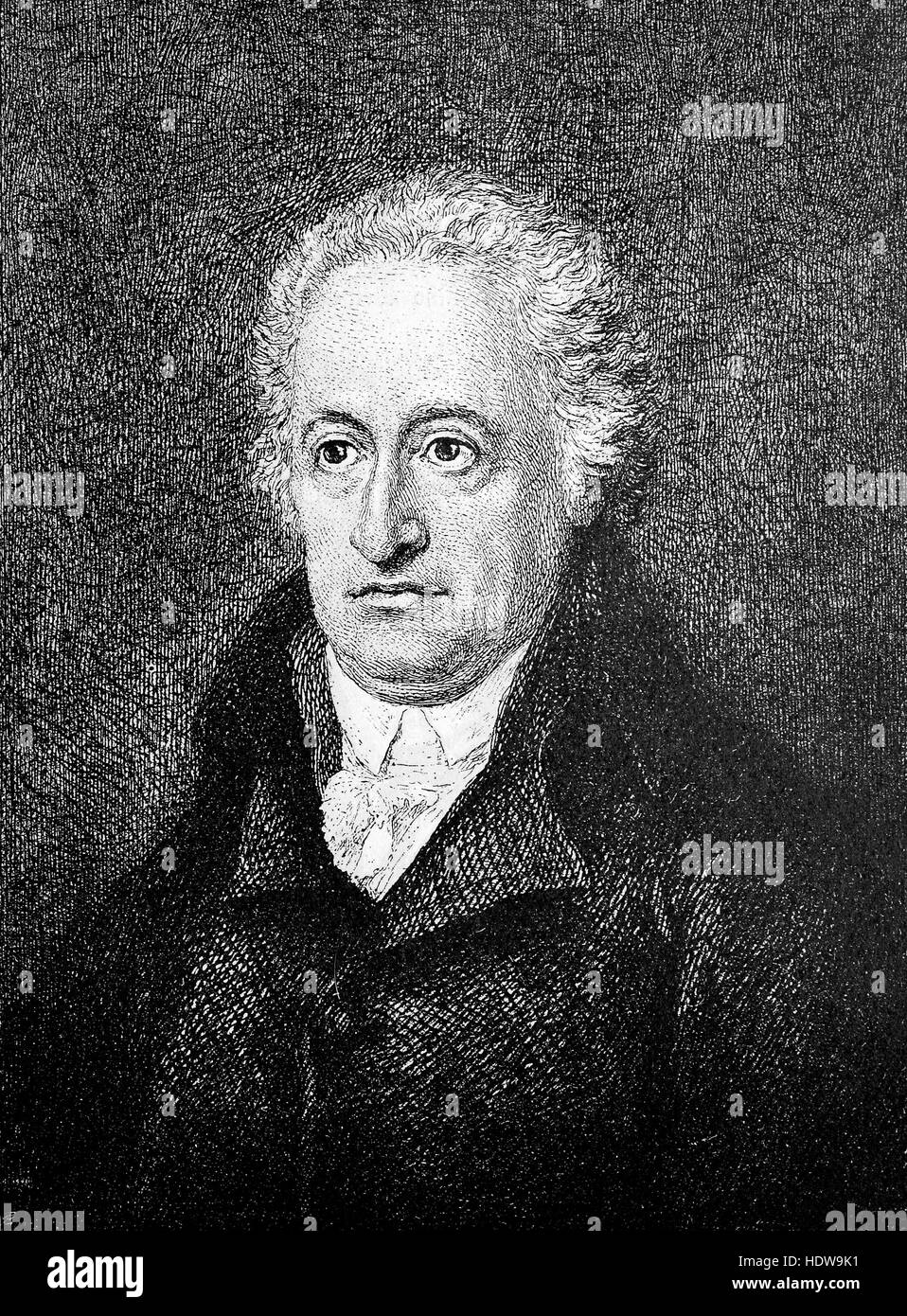 Johann Wolfgang von Goethe 57 Jahre alt, 1749-1832, deutscher Schriftsteller und Staatsmann, Holzschnitt aus dem Jahr 1880 Stockfoto