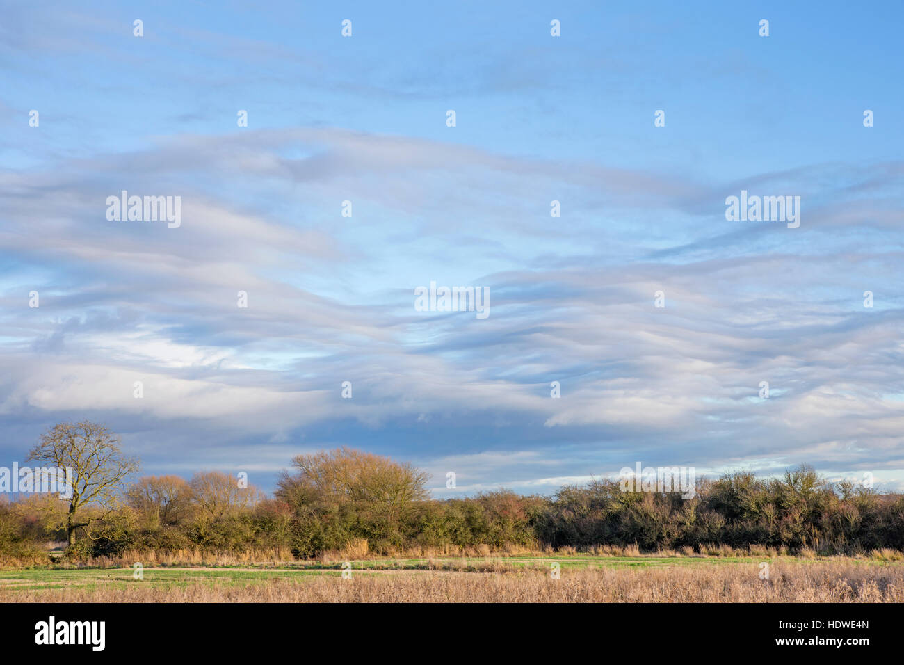 Ungewöhnliche Stratocumulus Wolkenformation über englische Landschaft, England, UK Stockfoto