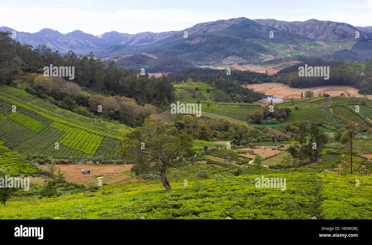 Ooty (Udhagamandalam) Stockfoto