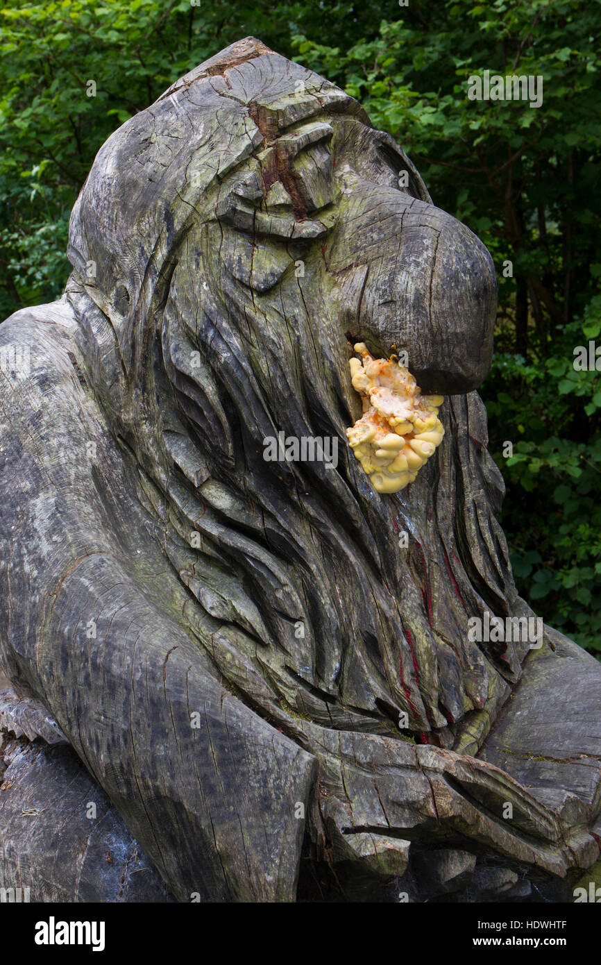 Huhn-of-the-Woods Pilz (Laetiporus Sulphureus) eine hölzerne Statue entwachsen. Llandrindod Wells, Powys, Wales. August. Stockfoto