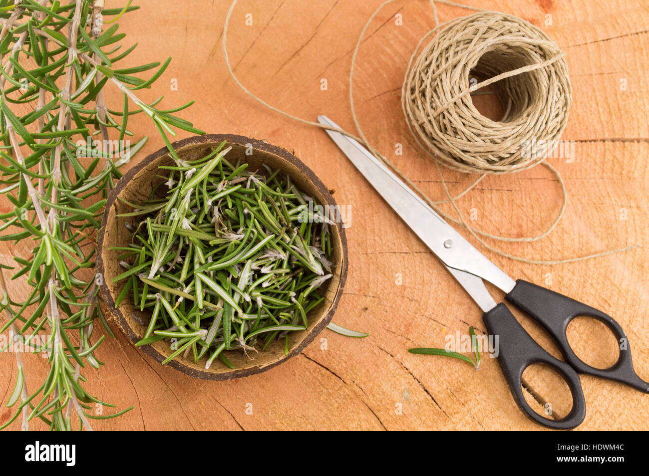 Rosmarin in einer Kokosnussschale mit einem paar der Schere und ein Seil Stockfoto