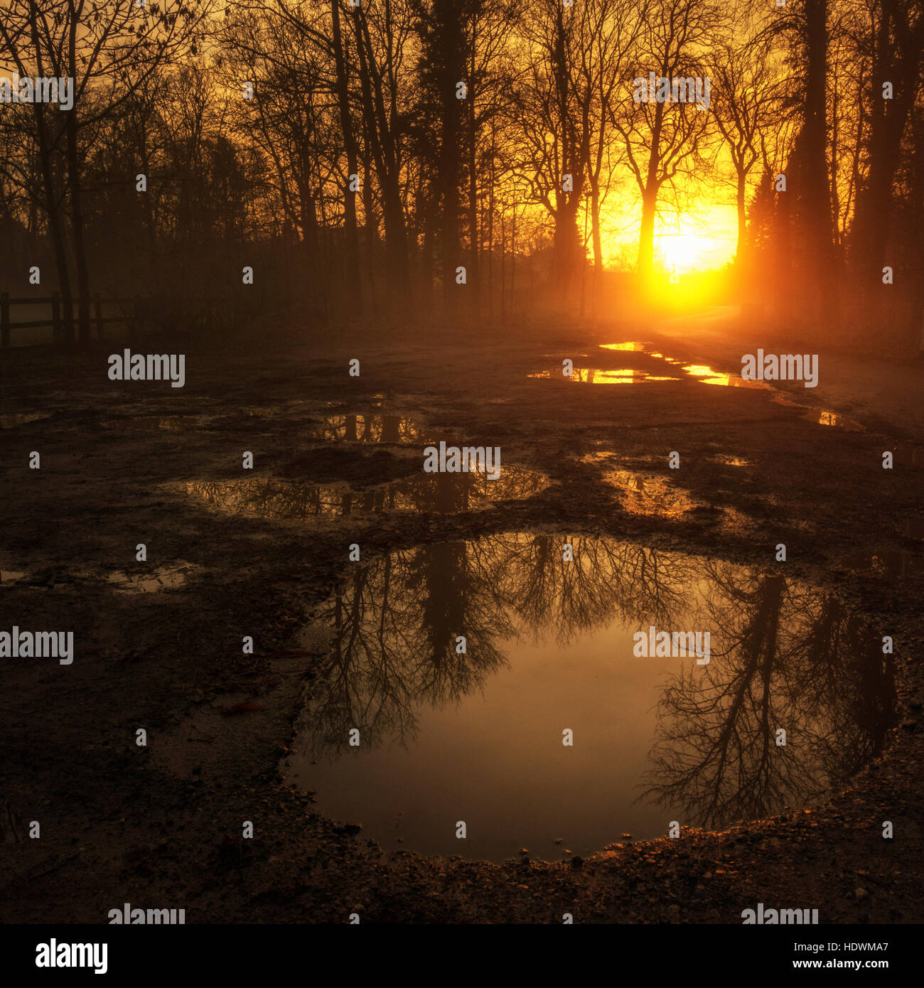 Nebligen leuchtende Morgenröte Sonne auf einem Feldweg mit Pfützen spiegelt orange leuchtende Licht und Bäume, Ilkley, Yorkshire, England, UK Stockfoto