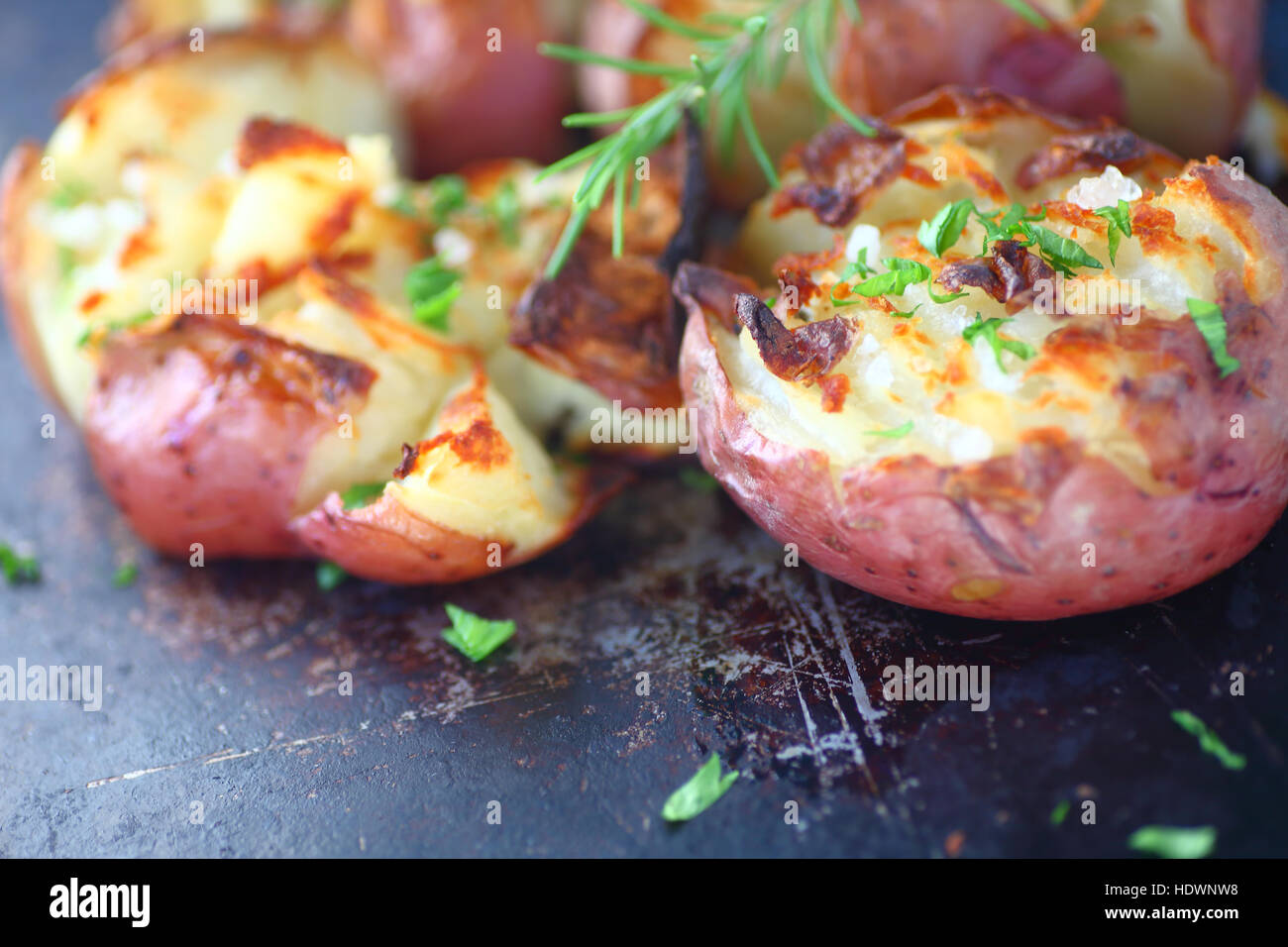 Zerdrückte Kartoffeln gebraten mit frischem Rosmarin und Petersilie Stockfoto