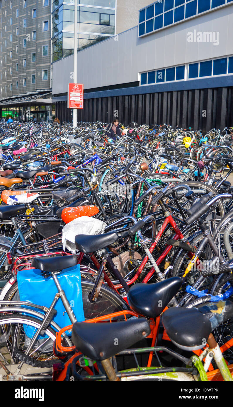 Amsterdam, Niederlande - 18.09.2015: große Fahrrad-Parken in der Innenstadt drängten sich wie gewohnt bei Tag Stockfoto