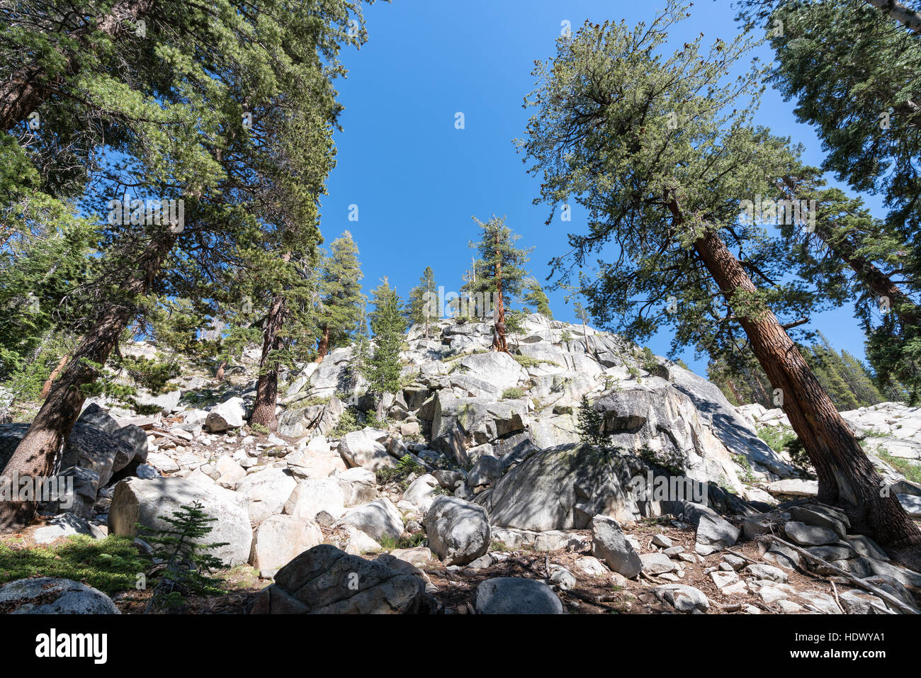 Sierra National Forest, Kalifornien, Vereinigte Staaten von Amerika, Nordamerika Stockfoto