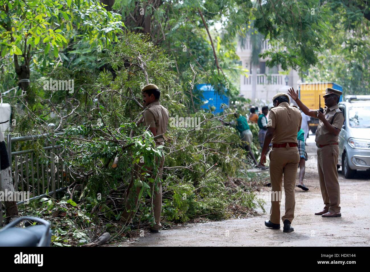 Polizei entfernt entwurzelte Bäume, Zyklon Vardah, Madras, Chennai, Tamil Nadu, Indien, Asien Stockfoto