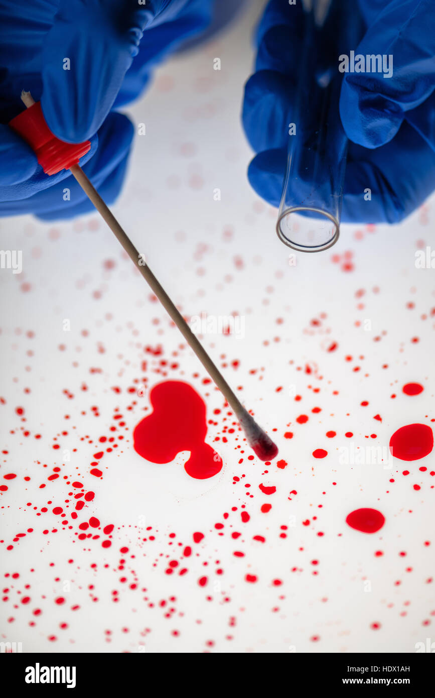 Forensische DNA-Probenahme von Blutfleck mit Wattestäbchen auf Mord Tatort Techniker Stockfoto