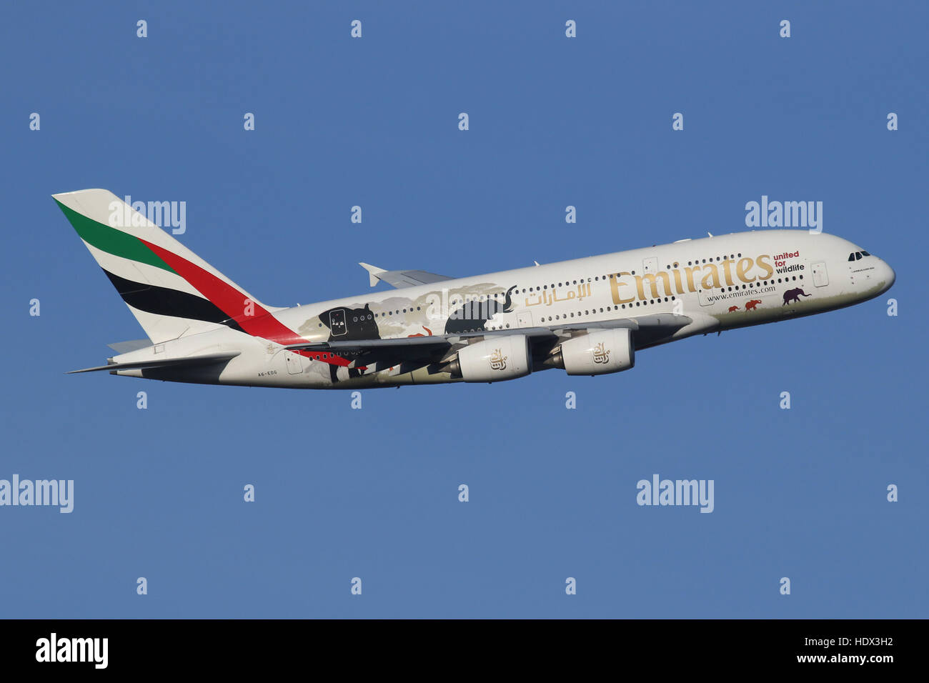 EMIRATE WWF WORLD WILDLIFE A380 Stockfoto