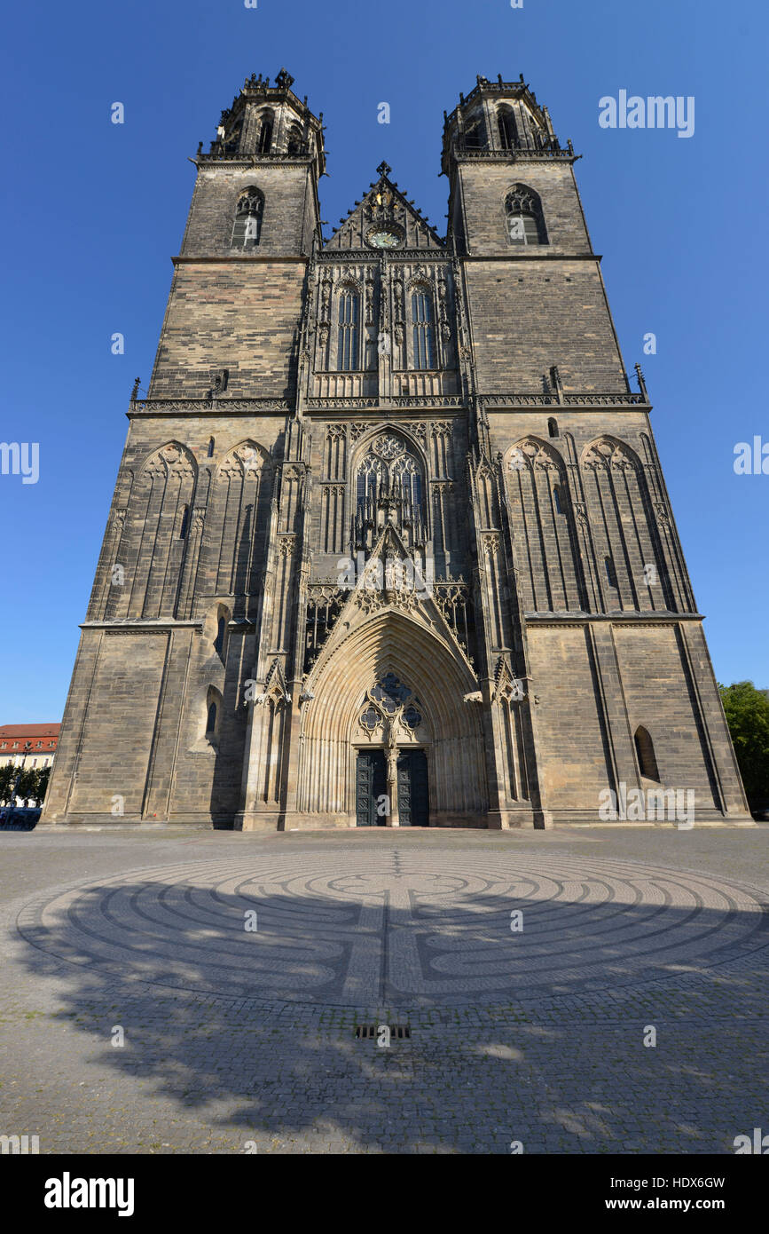 Magdeburger Dom, bin Dom, Magdeburg, Sachsen-Anhalt, Deutschland Stockfoto