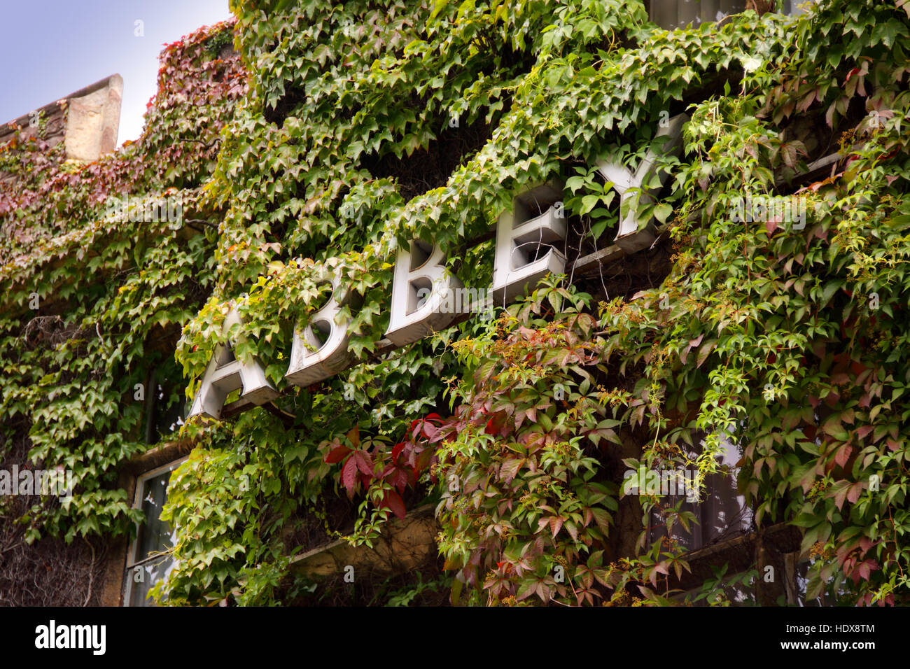 Efeu bedeckt Fassade der Abtei Hotel in Malvern, Großbritannien Stockfoto