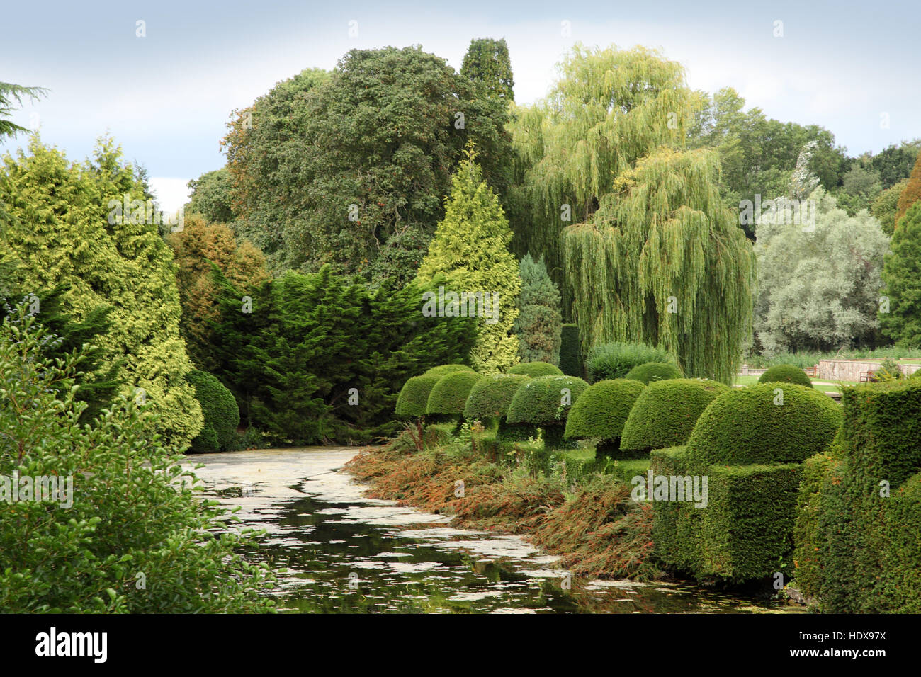 Graben und abgeschnittene Formschnitt Hecke Coombe Abbey, Coventry, ein beliebter Ort für Hochzeiten und Hotel. Stockfoto